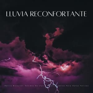 Retiro Binaural: Sonidos De Lluvia Reconfortantes Para Gatos Felices - Investigación de ritmos binaurales