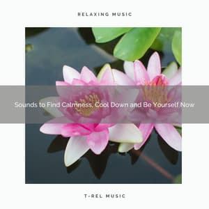 2020 Best: Sounds to Find Calmness, Cool Down and Be Yourself Now - Total Relax Zone