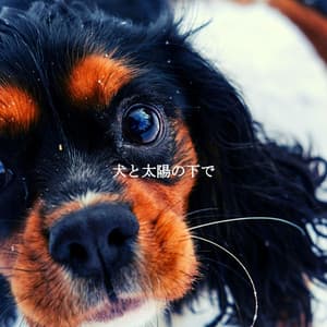 犬と太陽の下で - Cooking Music