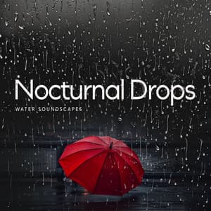 Nocturnal Drops - Water Soundscapes
