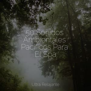 50 Sonidos Ambientales Pacíficos Para El Spa - Naturaleza Sonidos