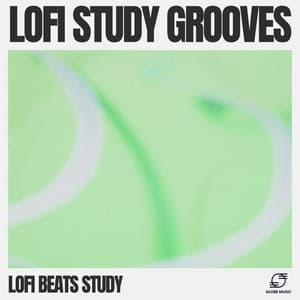 Lofi Study Grooves - Lofi Beats Study