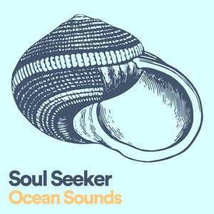 Soul Seeker - Sounds of Nature Noise