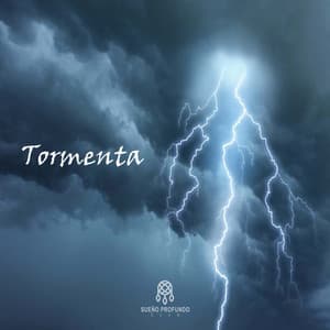 Tormenta - Lluvia Del Bosque