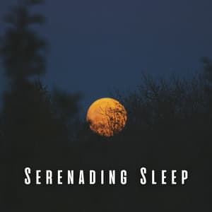 Serenading Sleep: Lofi Chill Music for Nighttime Bliss - Lofi Night Drives
