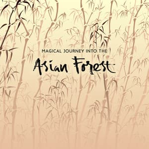 Magical Journey into the Asian Forest - Magic World Music Ensemble