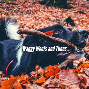 Waggy Woofs and Tunes - Music for Dogs Playlist