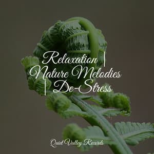 Relaxation | Nature Melodies | De-Stress - Relaxation