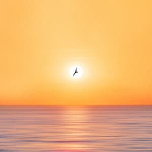 Nature's Namaste: Oceanic Yoga Haven - Baltic Nature Sounds