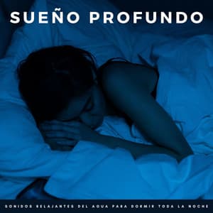 Sueño Profundo: Sonidos Relajantes Del Agua Para Dormir Toda La Noche - Música de noche somnolienta