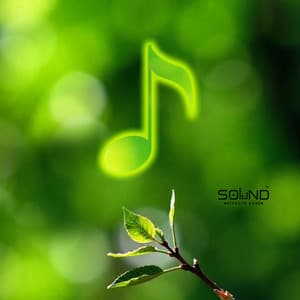 Morning Alarm Clock - Sound Effects Zone