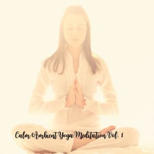 Calm Ambient Yoga Meditation Vol. 1 - Lotus Frequencies