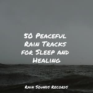 50 Peaceful Rain Tracks for Sleep and Healing - Relaxed Minds