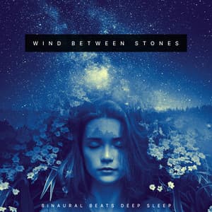 Wind Between Stones - Binaural Beats Deep Sleep