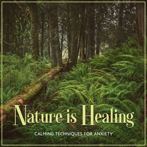 Nature is Healing: Calming Techniques for Anxiety with Forest Soundscape - Sounds of Nature Kingdom