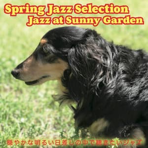Spring Jazz Selection Jazz at Sunny Garden - The Eddie Higgins Trio
