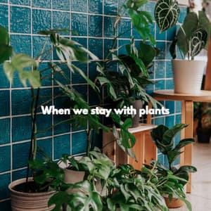 When we stay with plants - Jazz Animada para Cafeterías
