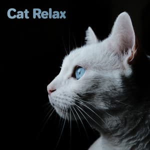 Cat Relax - Music For Cats