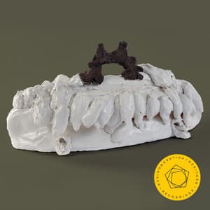 Schmidt: Symphony No. 4 - Stephan: Music for Orchestra - Franz Schmidt