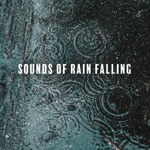 Sounds of Rain Falling: Study Music with Rain, Relaxing Sounds of Nature, Sleep Hypnosis, Nature Sounds for Reading, Distant Thunderstorm - Hypnosis Nature Sounds Universe