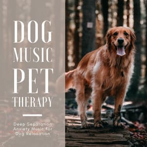 Dog Music Pet Therapy: Deep Separation Anxiety Music for Dog Relaxation - Relaxing Dog Music