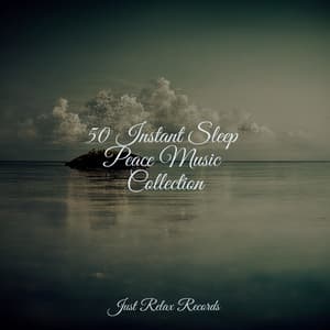 50 Instant Sleep Peace Music Collection - CANCIONES DE CUNA