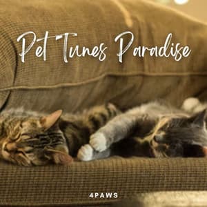4Paws: Pet Tunes Paradise - Dog Relaxation