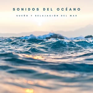 Sonidos Del Océano: Sueño y Relajación Del Mar - #Relajante