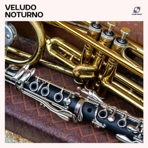 Veludo Noturno: Música Jazz Suave - Jazz Relaxante