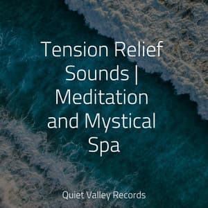 Tension Relief Sounds | Meditation and Mystical Spa - Relaxing Nature Music