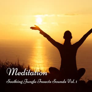 Meditation: Soothing Jungle Insects Sounds Vol. 1 - Transcendental Meditation