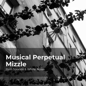 Musical Perpetual Mizzle - Rain Sounds & White Noise