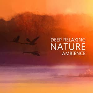 Deep Relaxing Nature Ambience - Relaxing River Sounds, Gentle Ocean Waves, Nature Sounds, Rain, Forest, Singing Birds Ambience - The Flowing Mind