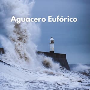 Aguacero Eufórico - Dormir Dan