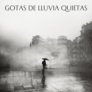 Gotas De Lluvia Quietas - Atmósferas de Lluvia