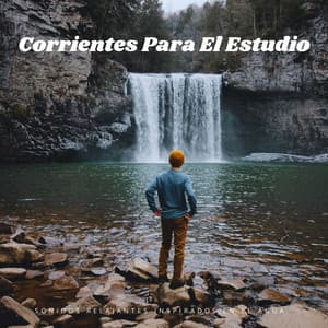 Corrientes Para El Estudio: Sonidos Relajantes Inspirados En El Agua - Sonidos de Cascada
