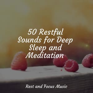 50 Restful Sounds for Deep Sleep and Meditation - Zarobi