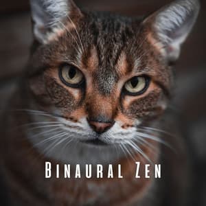 Binaural Zen: Calming Rain and Theta Waves for Anxious Cat - Rainfall