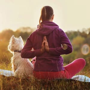 Serene Music for Deep Meditation and Relaxation - Deep Lofi Music