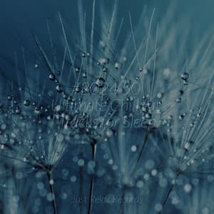 #2024 50 Ultimate Chillout Tracks for Sleep - Kinderliederbande