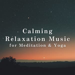 Calming Relaxation Music for Meditation & Yoga - Relaxing BGM Project
