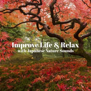 Improve Life & Relax with Japanese Nature Sounds: De-Stress, Reduce Anxiety, Yoga & Meditation - Oriental New Age Lounge