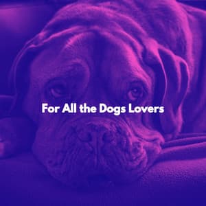 For All the Dogs Lovers - Harlem Jazz Guitar Quartet