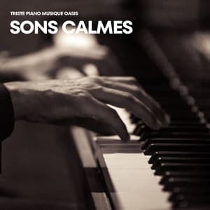 Sons Calmes: Piano Méditation - Triste piano musique oasis