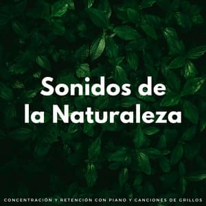 Sonidos De La Naturaleza: Concentración Y Retención Con Piano Y Canciones De Grillos - Naturalis