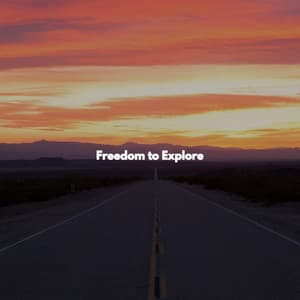Freedom to Explore - Smooth Light Restaurant Music