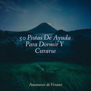 50 Pistas De Ayuda Para Dormir Y Curarse - Masajes Spas