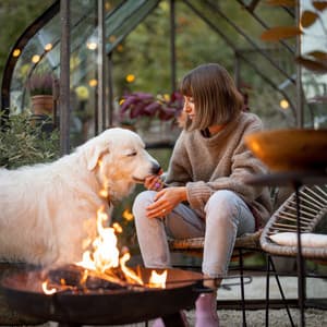 Fireside Zen Bonding: Binaural Ember's Mindful Pet Haven - Brainwave Binaural