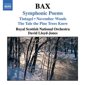 Bax: Symphonic Poems - Arnold Bax