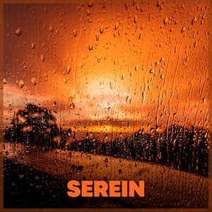 Serein - The Sound Of The Rain